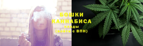 стафф Вяземский