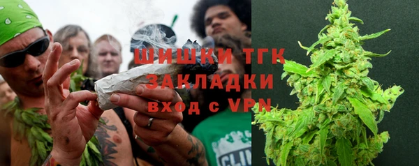 стафф Вяземский