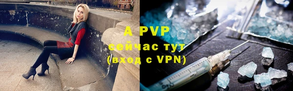 стафф Вяземский