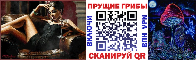 Псилоцибиновые грибы Psilocybine cubensis  как найти   ОМГ ОМГ ссылки  Безенчук 